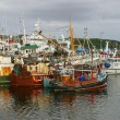 Ireland Fishing Ireland Fishing