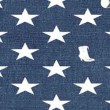 Thaddeus Russell - A Renegade History of America