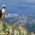 Wallow Park - Eastern Oregon