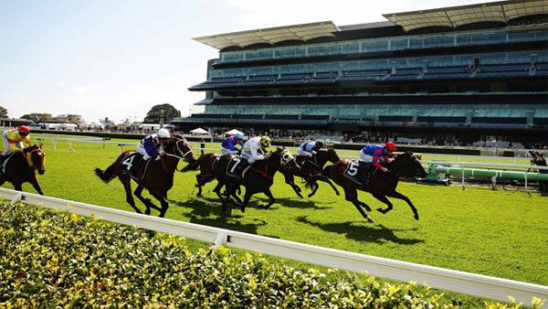 Richest Racing Event Arrives at Sydney