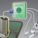 Smart Grid rollout in the Netherlands