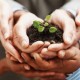 development and sustainability