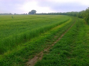 Harpenden Run Route