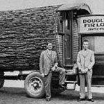 Douglas Fir Log