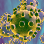 Corona Virus information